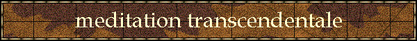 meditation transcendentale
