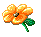 flower.gif (3046 octets)